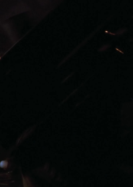 SKYWALKER, CAR - LOUD, WARBLING IMPACT