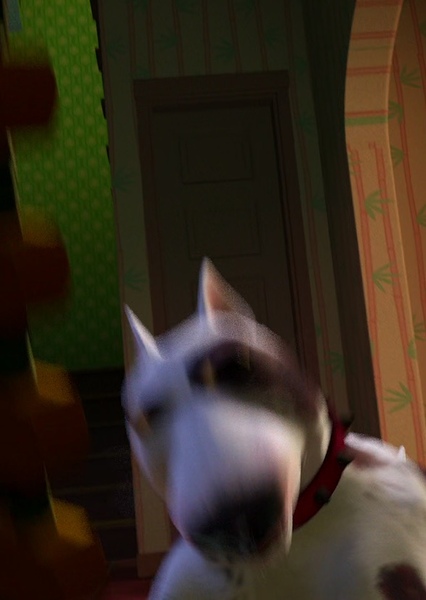 SKYWALKER, DOG - SCUD'S BARKING SOUND photo