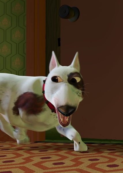 SKYWALKER, DOG - SCUD'S BARKING SOUND photo