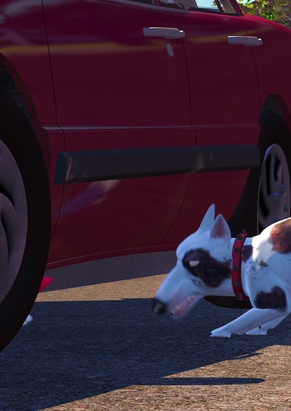 SKYWALKER, DOG - SCUD'S BARKING SOUND photo