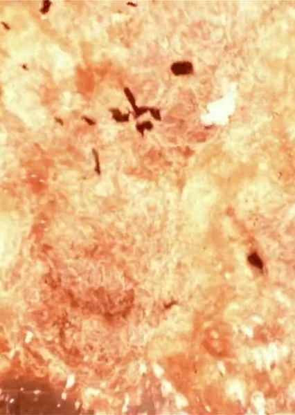 SKYWALKER, EXPLOSION - CRACKLING EXPLOSION, LARGE 01 photo