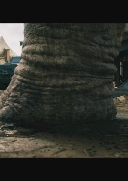 SKYWALKER, FOOTSTEP - DINOSAUR FOOTSTEPS