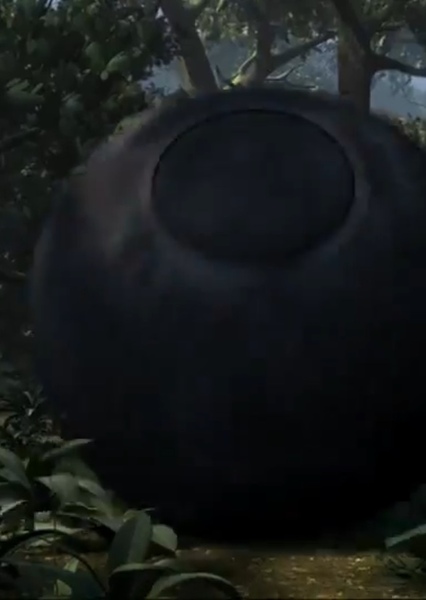 SKYWALKER ROLLING BOULDER SOUND photo
