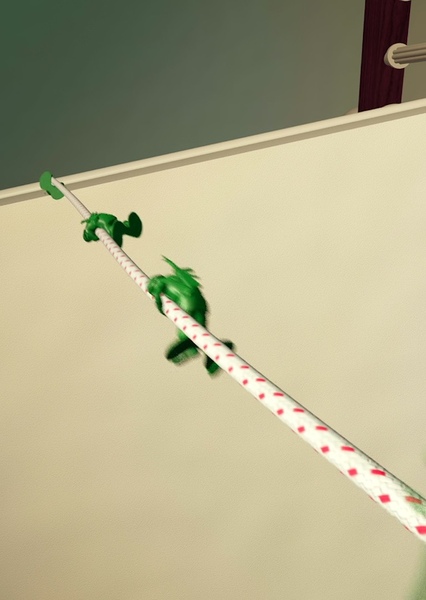SKYWALKER, ROPE - SLIDING DOWN ROPE