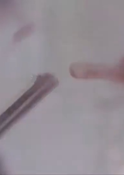 SKYWALKER SHOTGUN FIRE 01