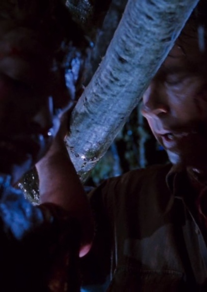 SKYWALKER, SNAP - TREE BRANCH BREAKING photo