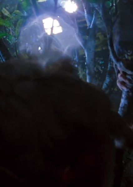SKYWALKER, SNAP - TREE BRANCH BREAKING photo
