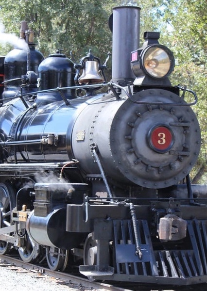 SKYWALKER, TRAIN - POLAR EXPRESS WHISTLE