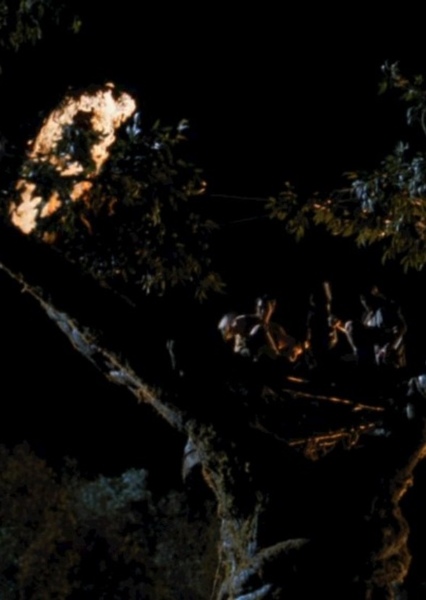 SKYWALKER, WHISTLE - GIANT FLAMING WHISTLE photo