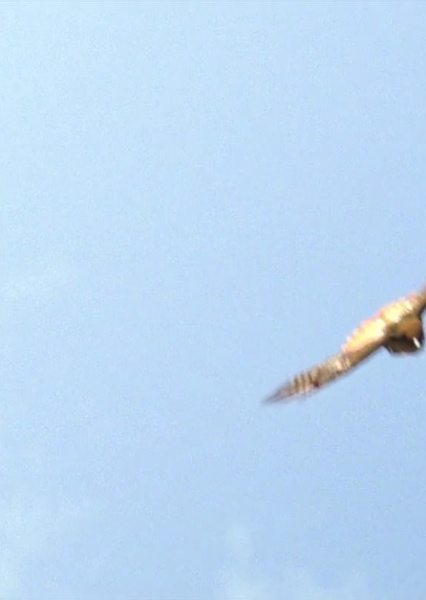 SKYWALKER, WHOOSH - LONG DESCENDING WHOOSH photo