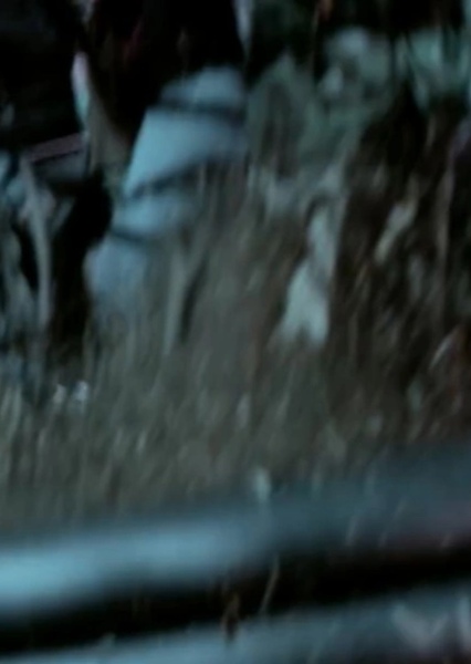 SKYWALKER, WOOD - TREE MOVING, CRUNCHING