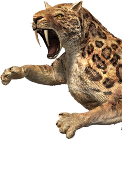 Smilodon photo