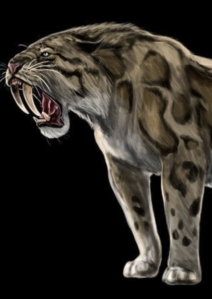 Smilodon photo