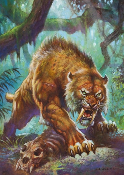 Smilodon photo
