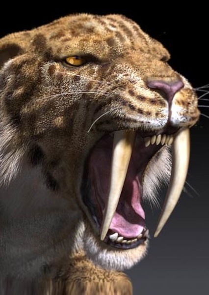 Smilodon photo
