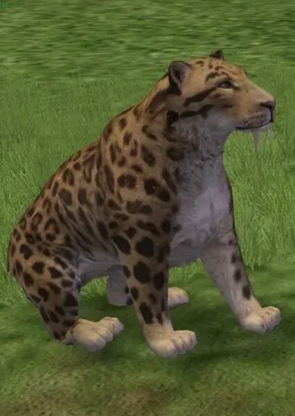 Smilodon photo