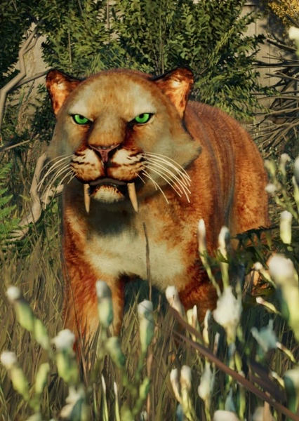 Smilodon photo