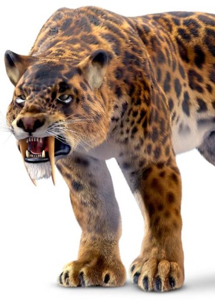 Smilodon photo