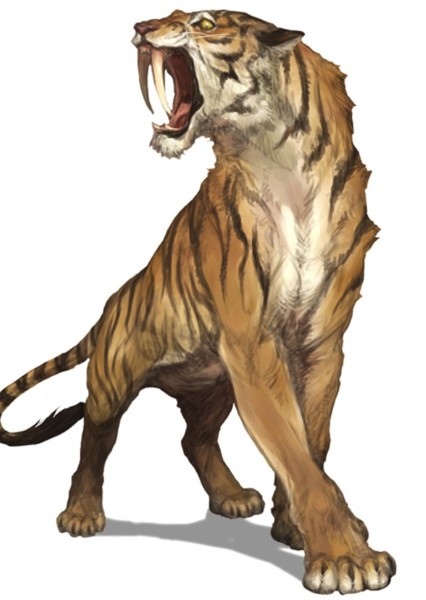 Smilodon photo
