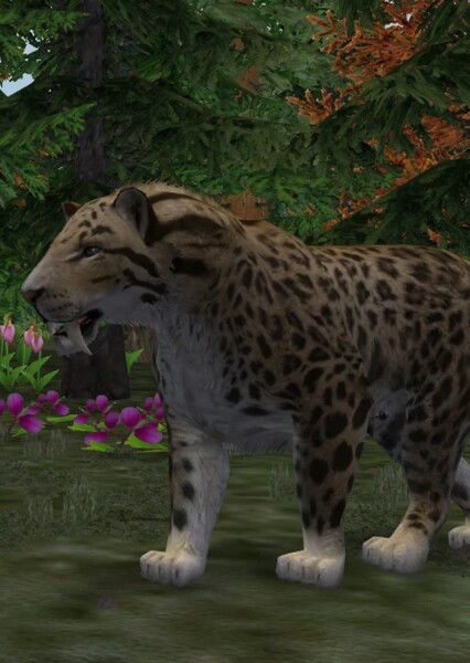 Smilodon photo