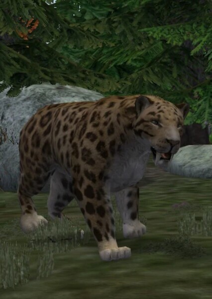 Smilodon photo
