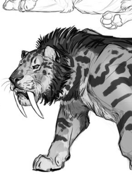 Smilodon photo