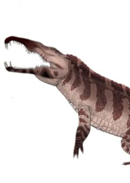 Smilosuchus photo