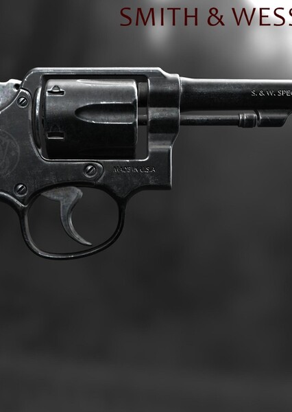 Smith & Wesson Model 10