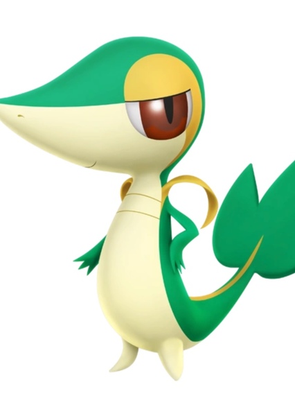 Snivy photo