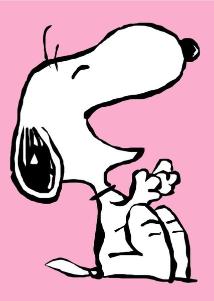 Snoopy photo