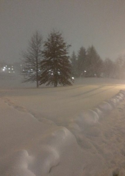 snow event (backrooms)