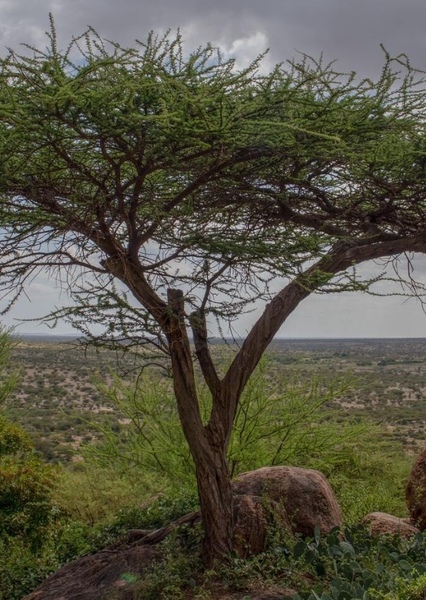 Somalia