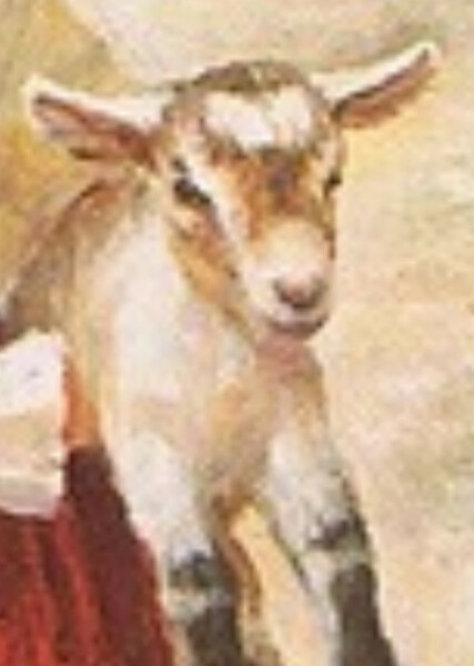 Sombrita photo