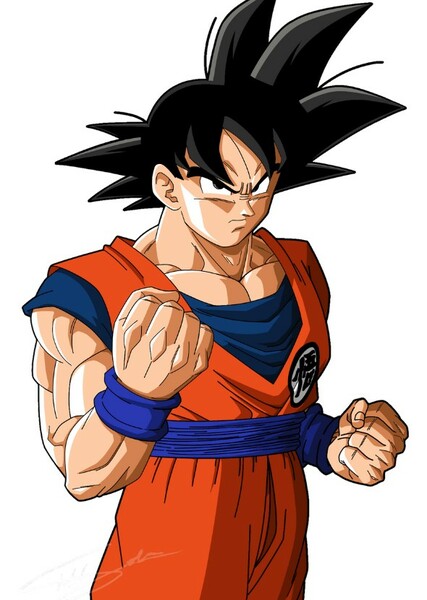 Son Goku photo