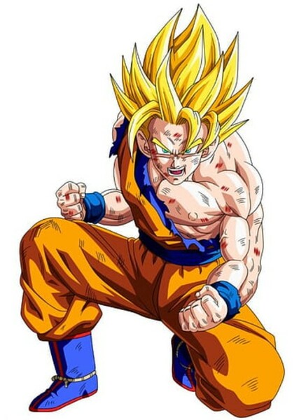 Son Goku photo