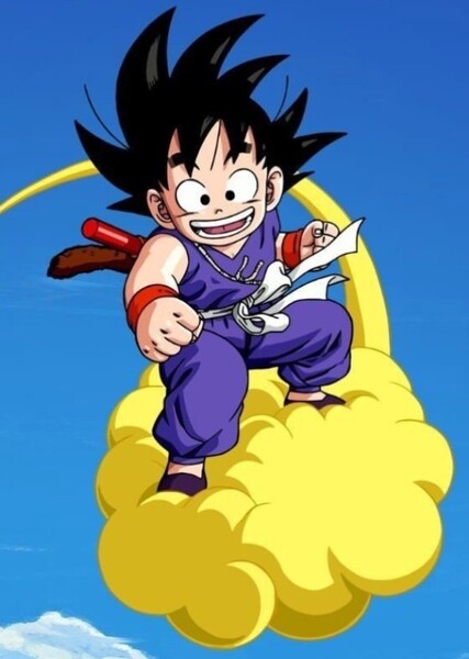 Son Goku photo