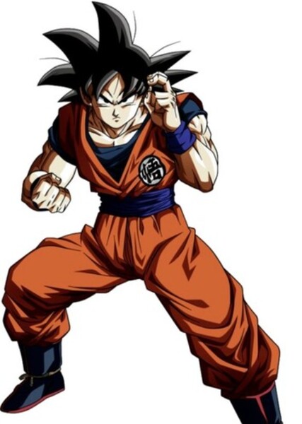 Son Goku photo