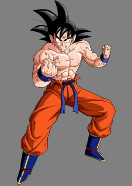 Son Goku photo