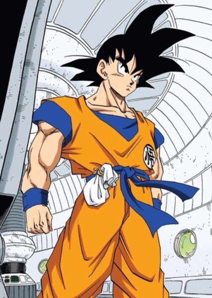 Son Goku photo