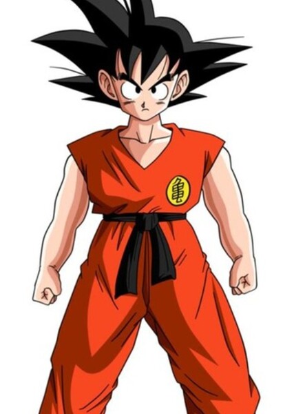 Son Goku photo