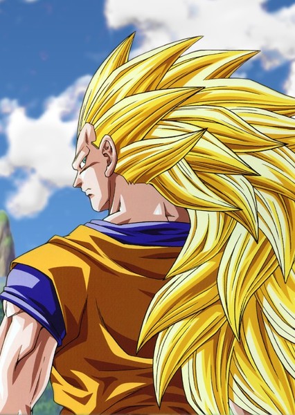 Son Goku photo