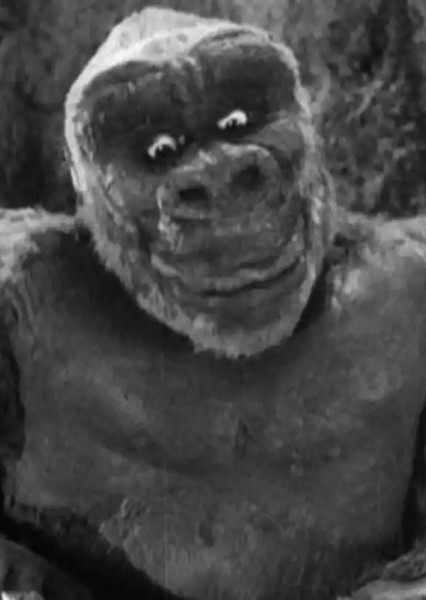 Son of Kong photo
