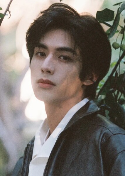Song Weilong photo