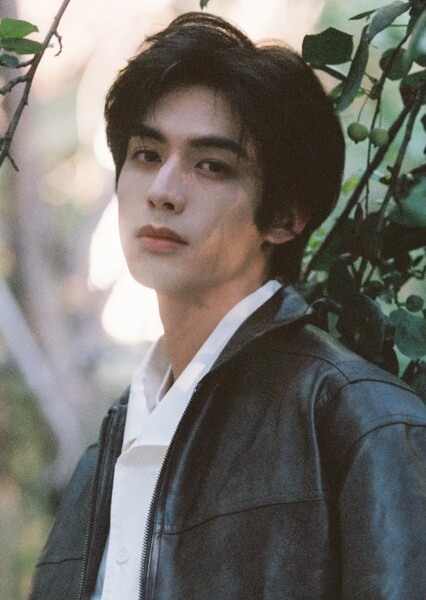 Song Weilong photo