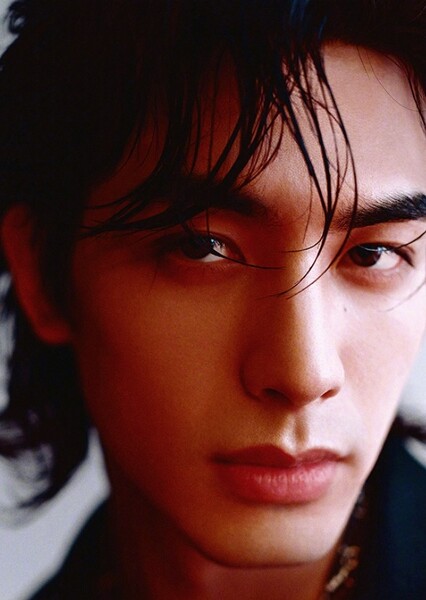 Song Weilong photo