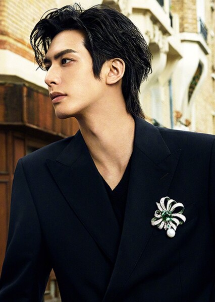 Song Weilong photo