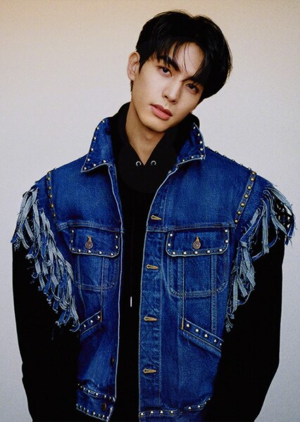 Song Weilong photo