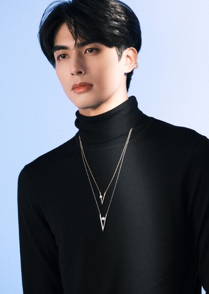 Song Weilong photo