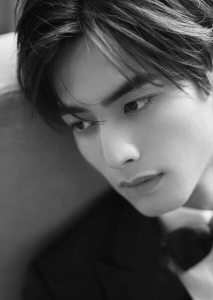 Song Weilong photo