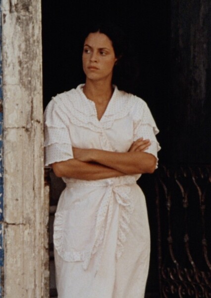 Sônia Braga photo